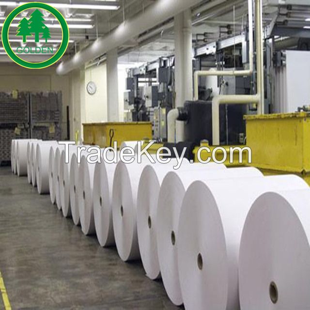 Food Grade Paper Board with Single or Double PE Coated Cup Stock Board