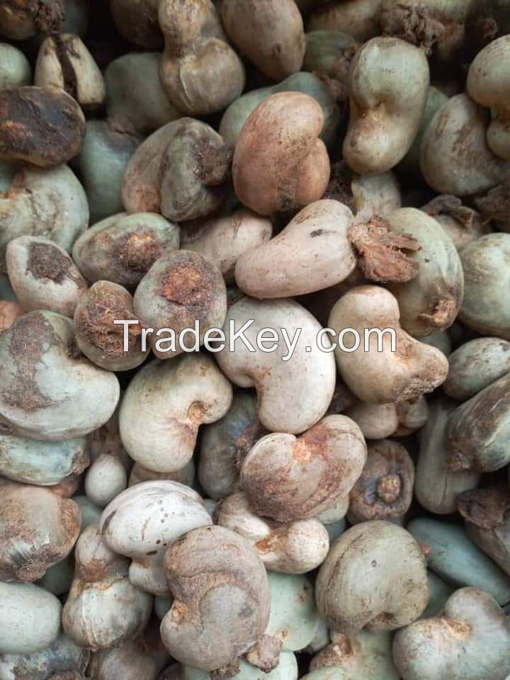 Raw Cashew