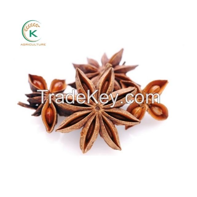 Autumn Crop Star Anise 2021 Vietnam