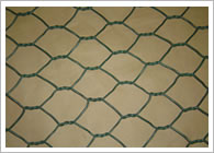 Hexagonal Wire Mesh