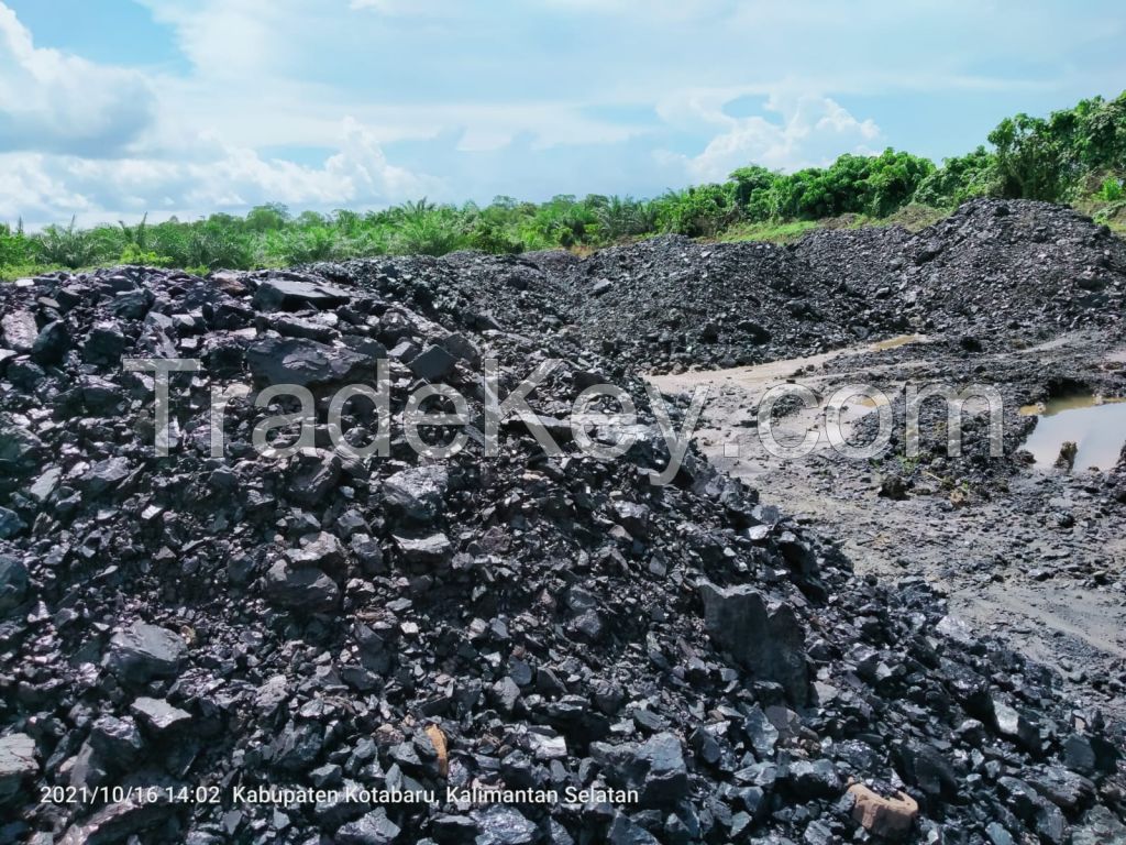 Coal
