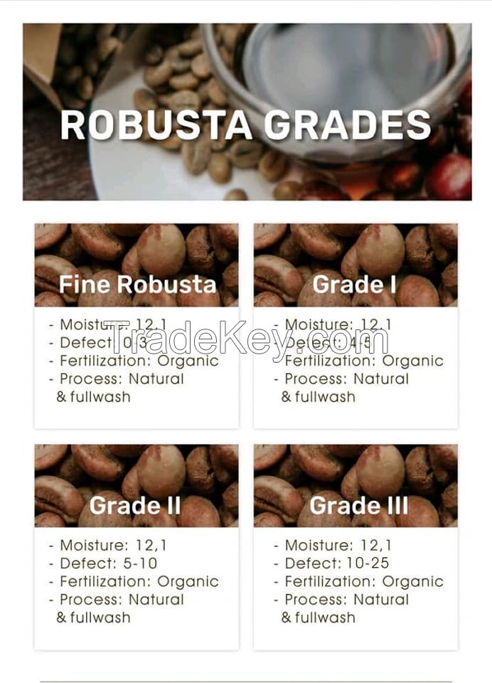 Arabica Coffee and Robusta Specialty Green Beans