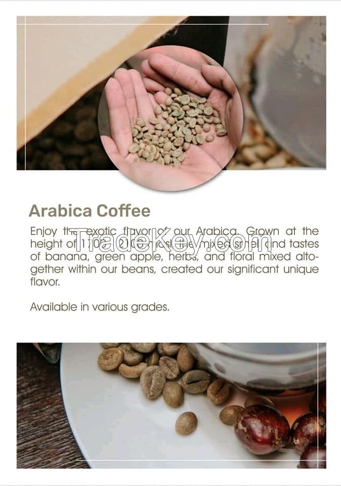 Arabica Coffee and Robusta Specialty Green Beans