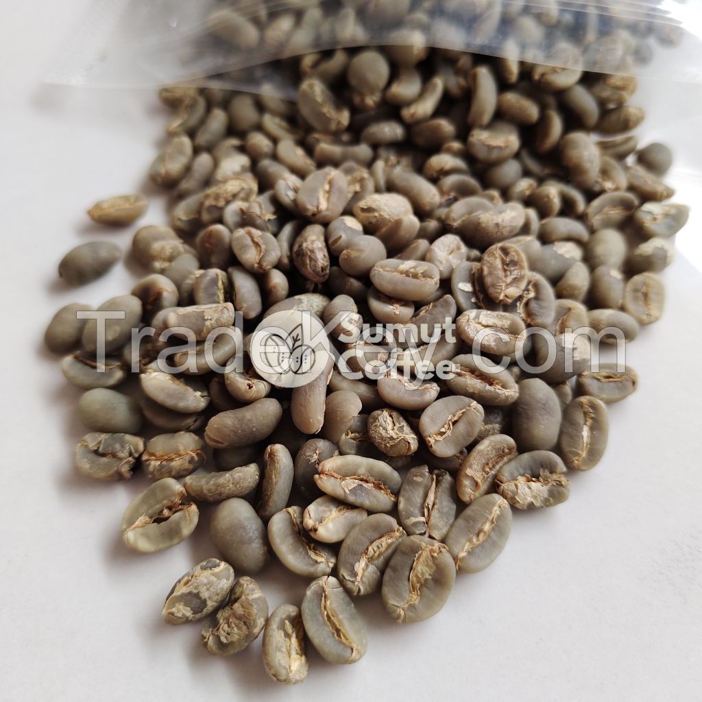 Arabica Gayo Green Coffee Bean