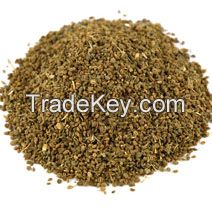 Apium Graveolens Suppliers in India