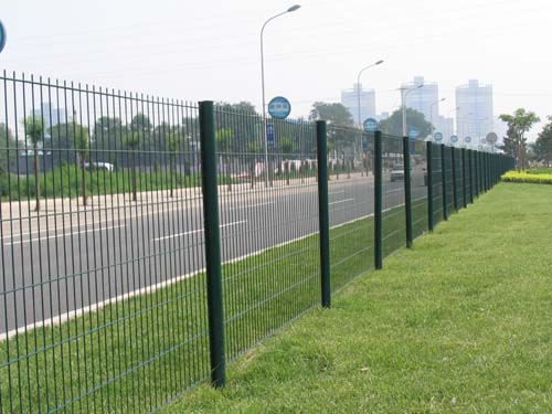 Fencing Netting