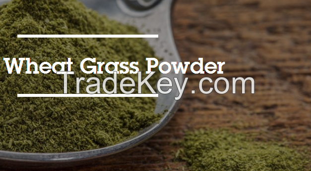 Wheat Grass Powder