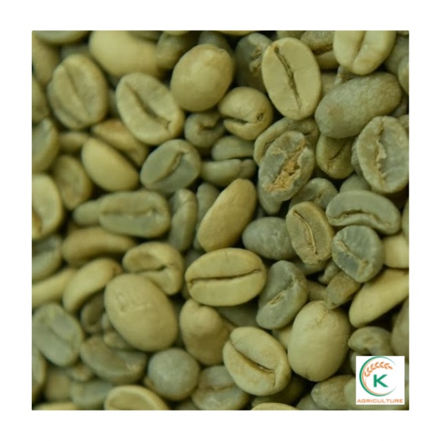 Arabica Lac Duong Specialty Coffee Beans