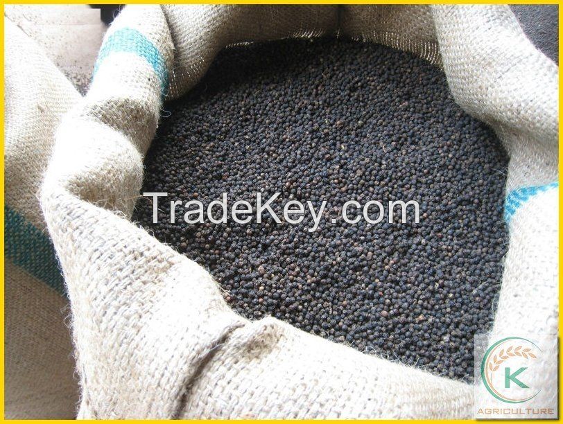 Vietnam Black Pepper 550 G/L