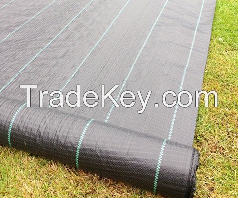 Agricultural Greenhouse Black Weed Control Fabric Mat Plastic PP Anti Weed Agro Weed Control Barrier PP Woven Weed Mat