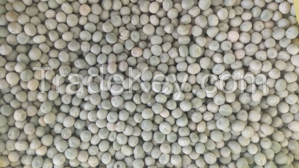 Field Dried Green Peas