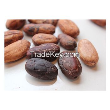  high grade dried raw cocoa beans for sale