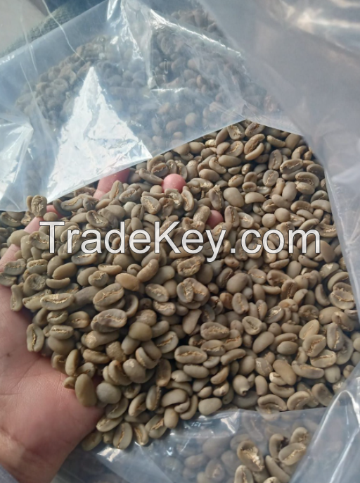 Raw Coffee Beans