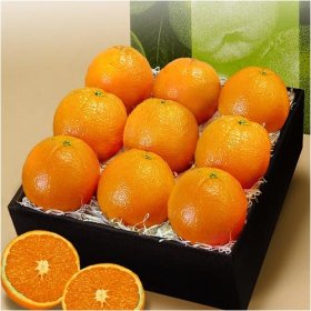 abu_elholl_ORANGES