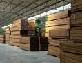 ELSHERIF OF TIMBER TRADE