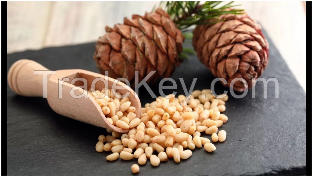 Cedar Nuts Kernel, Pine Nuts Kernel, Peeled From the Shell