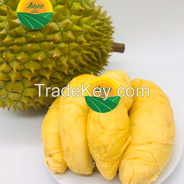 Fresh and Frozen Durian Ri6/Monthong Best Selling Fruit from Vietnam