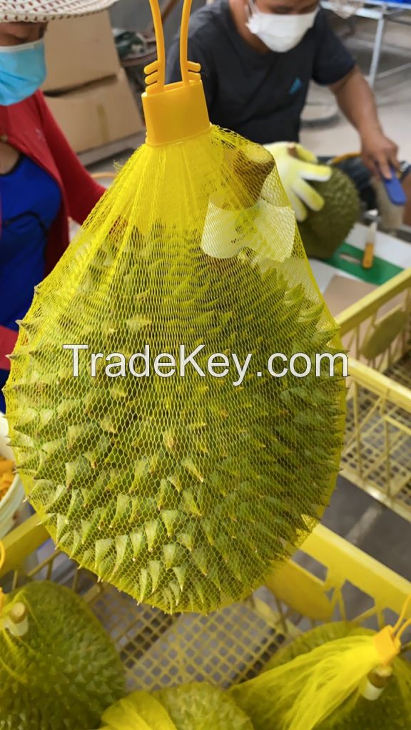 Wholesale Price for Fresh and Frozen Durian Ri6/Monthong Best Selling Fruit from Vietnam