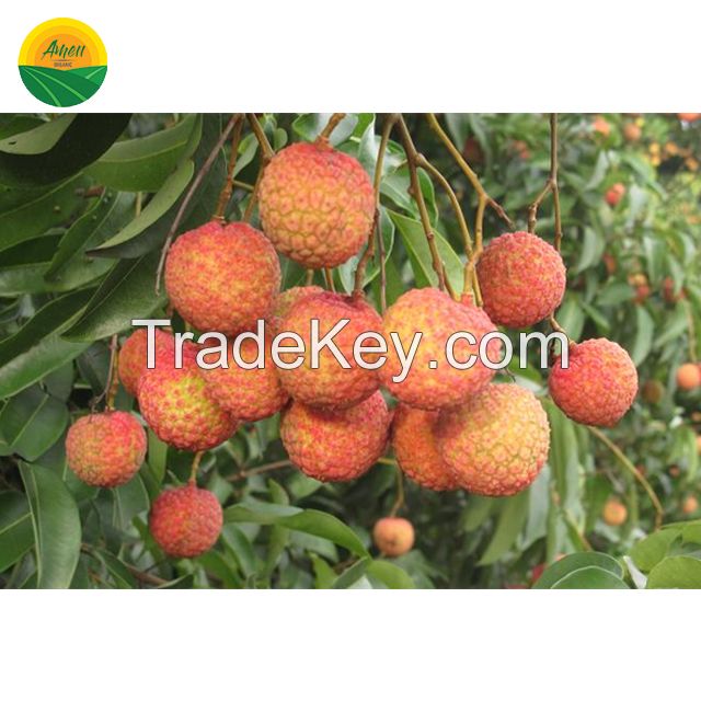 Fresh Lychee GlobalGAP from Vietnam, Mob/Whatsapp: +84356510958