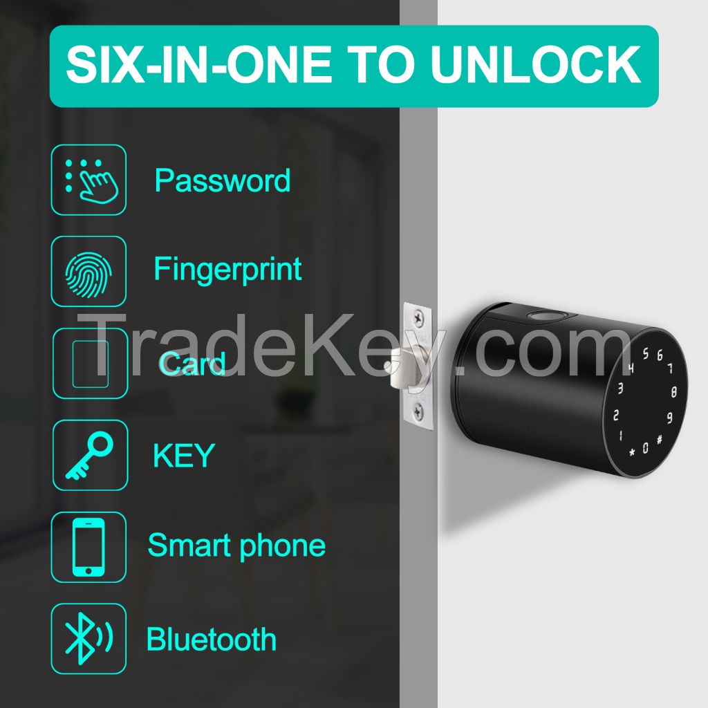 Tuya BLE, fingerprint, card, passwords, keys smart locks with spindle rod