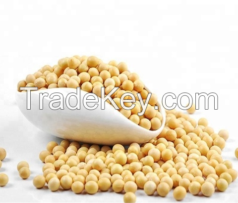 soya beans