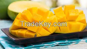 Frozen Mango From Vietnam Good for Health Sells with Competitive Price (HuuNghi Fruit)