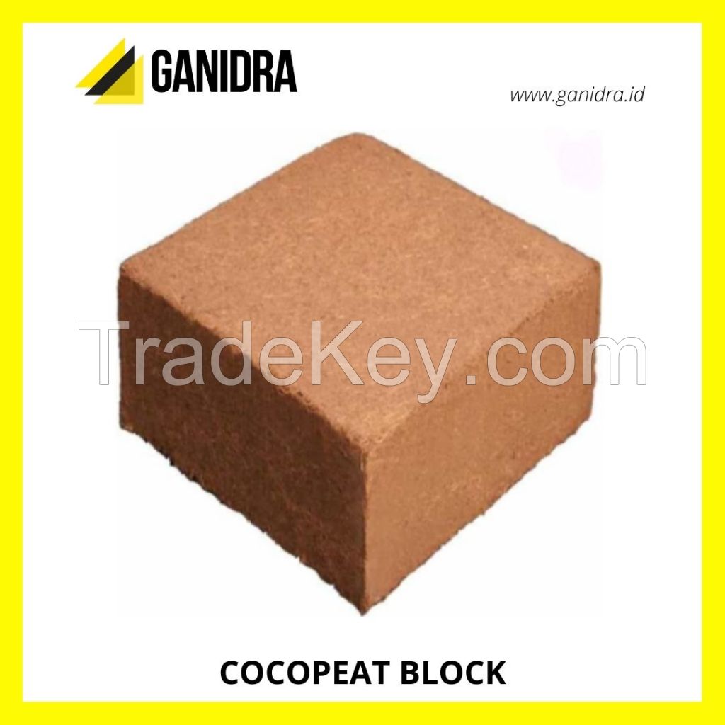 COCOPEAT BLOCK offer from Indonesia