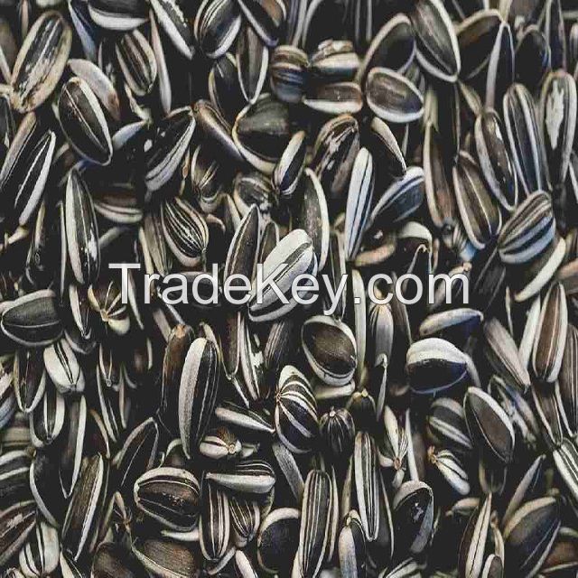 Sunfloweer seeds on sale