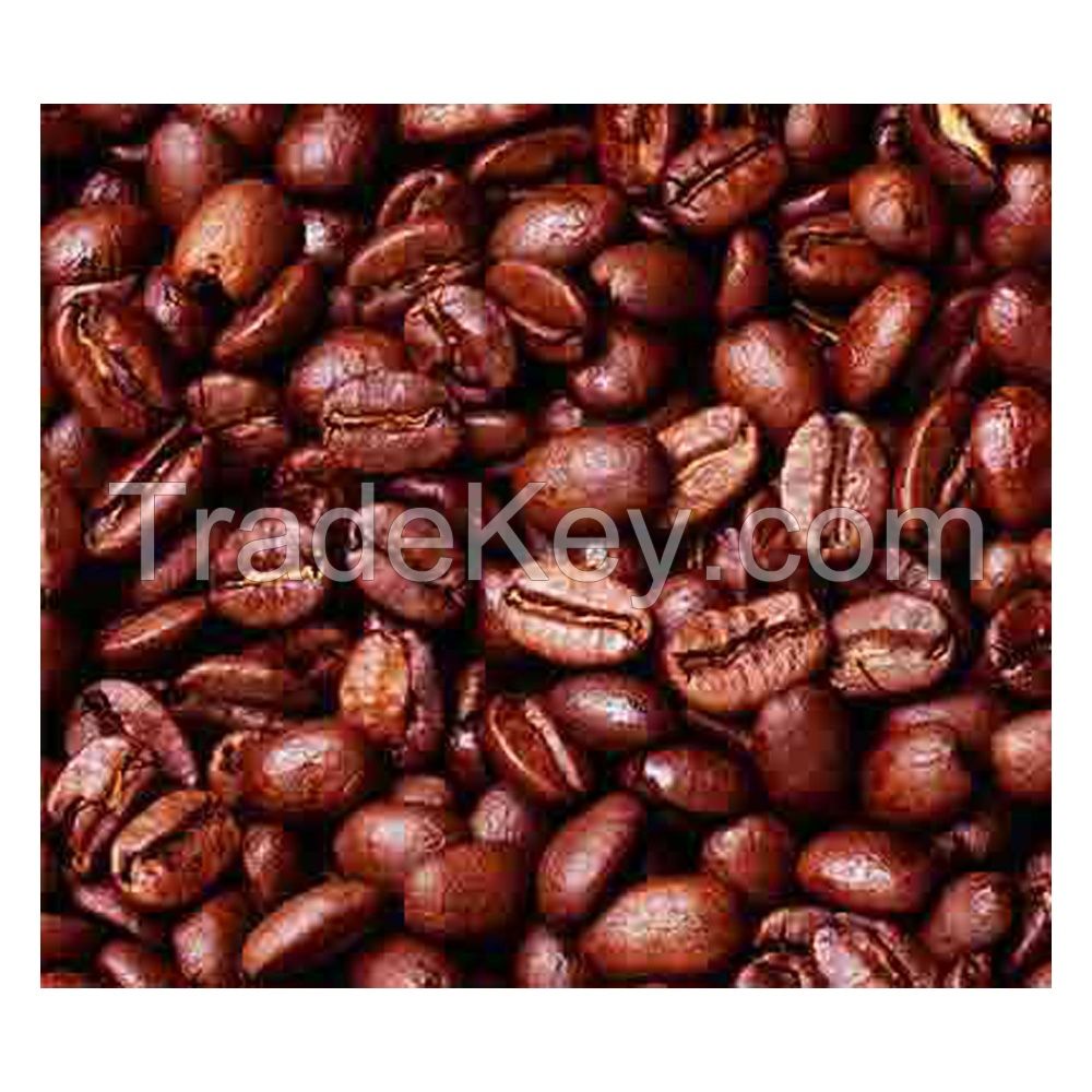 Selling High Grade Organic Dried Cocoa Beans