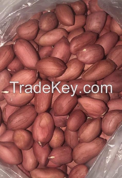 Selling Top Grade Peanuts / Blanched / With Skin / in Shell / 100% Natural