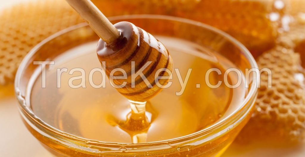 Selling 100% Natural Pure Bee Honey For Sale