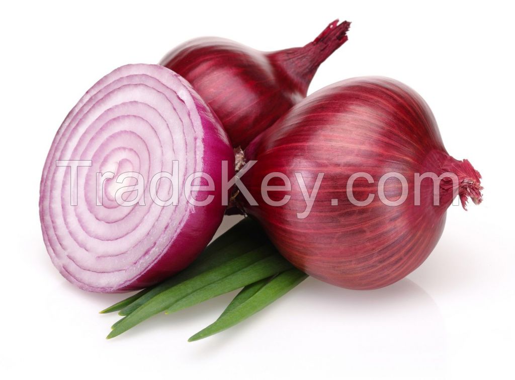 RED ONIONS