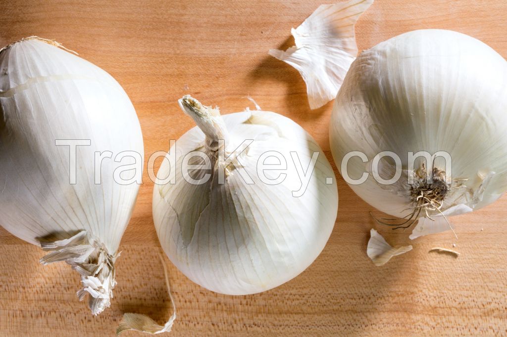 WHITE ONIONS