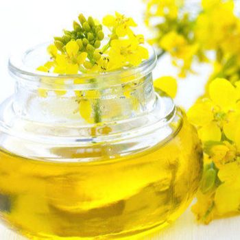 Rape Seed Oil