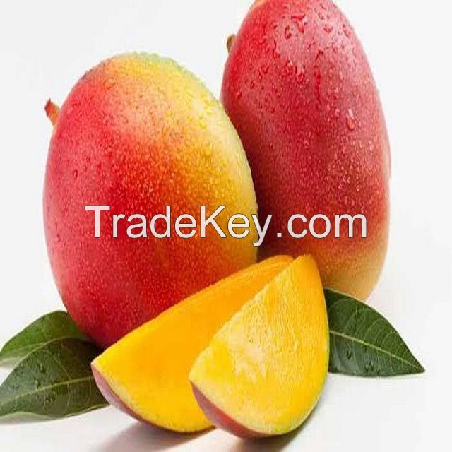 Farm mangoes Honey Mangoes Green and Yellow Mangoes For Sale