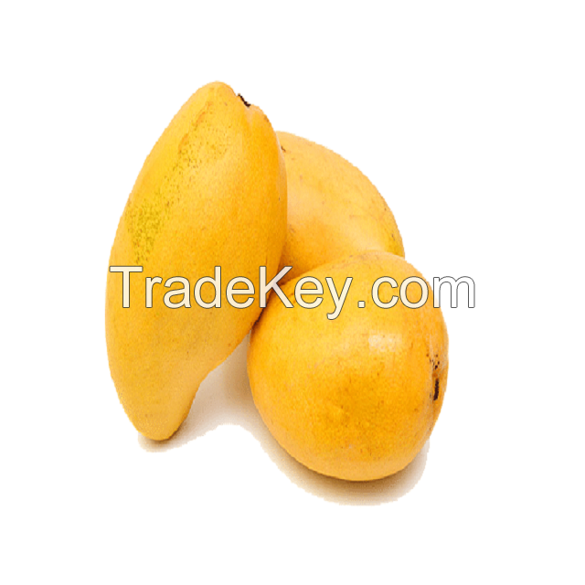 Farm mangoes Honey Mangoes Green and Yellow Mangoes For Sale