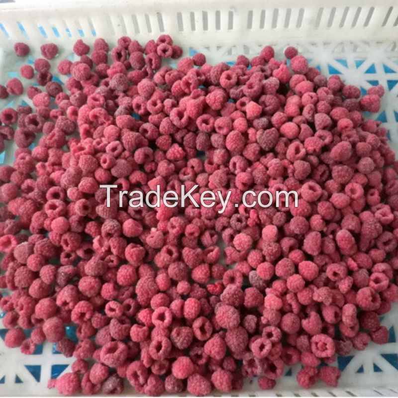 Sinocharm BRC-A Certified Sweet Peeled Seedless Tropical Fruit IQF Frozen Lychee