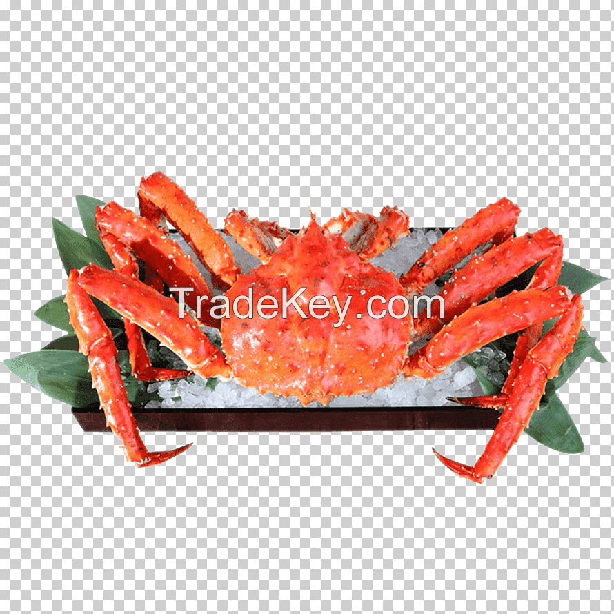 Wholesale Alaskan King Crab / Best Selling Frozen King Crab Legs Wholesale / Buy Canadian Red King Crab Legs