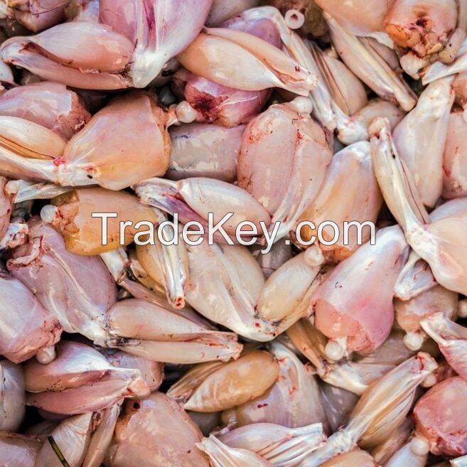 Wholesale frog legs frozen seafood skinless frog meat Hidee