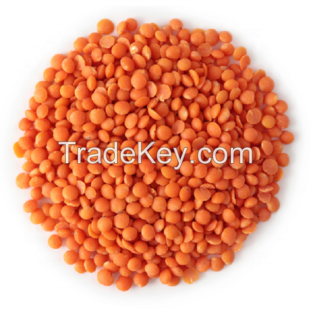 Quality Bulk Dried Lentils Red Lentils Green Lentils