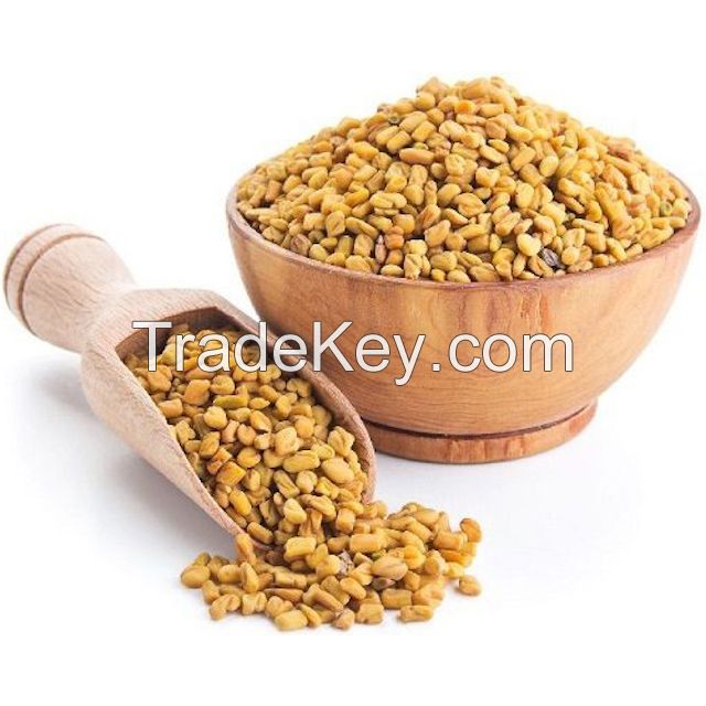 Factory Wholesale Fenugreek Powder 100% Pure fenugreek seed extract powder