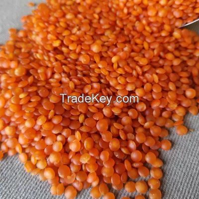 Quality Bulk Dried Lentils Red Lentils Green Lentils