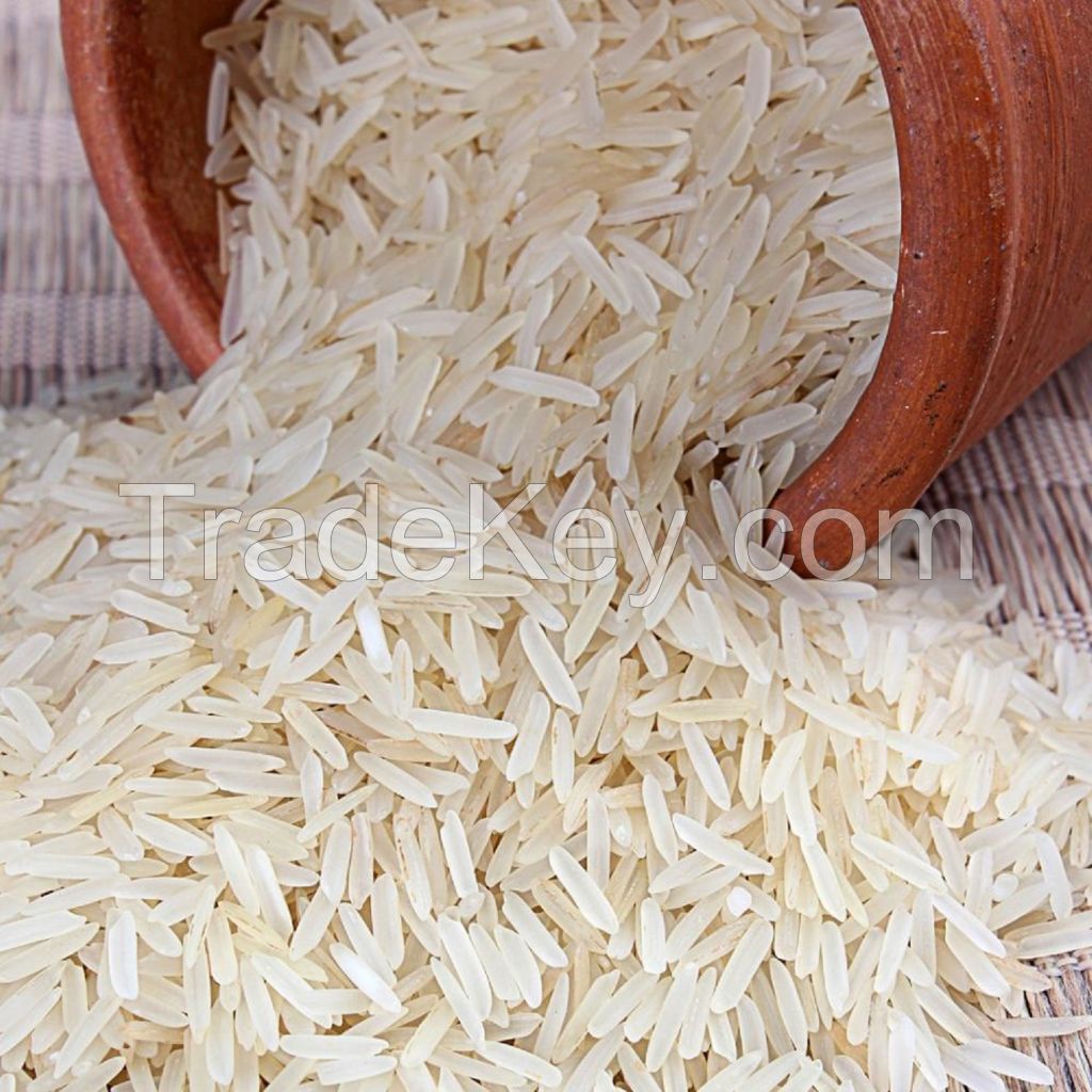 Cheap 5% Broken Long Grain Glutinous Price Broken White Rice