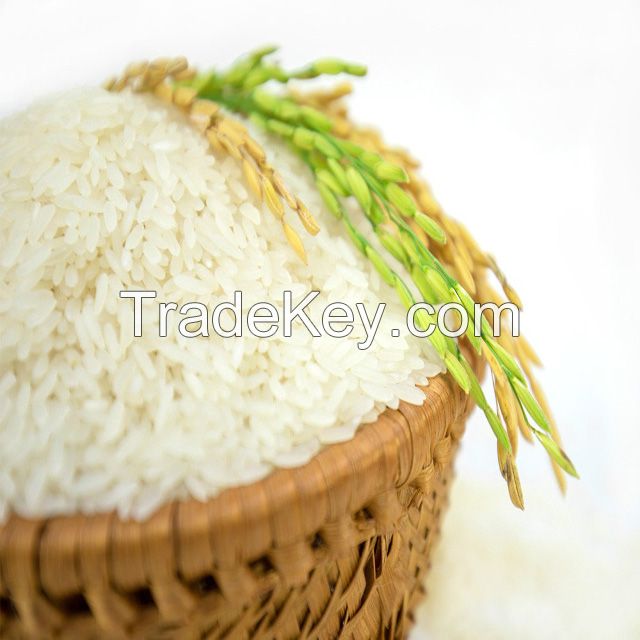 Basmati Rice 1121 White Sella Long Grain Rice Broken 2% 25/50 kg pp bag