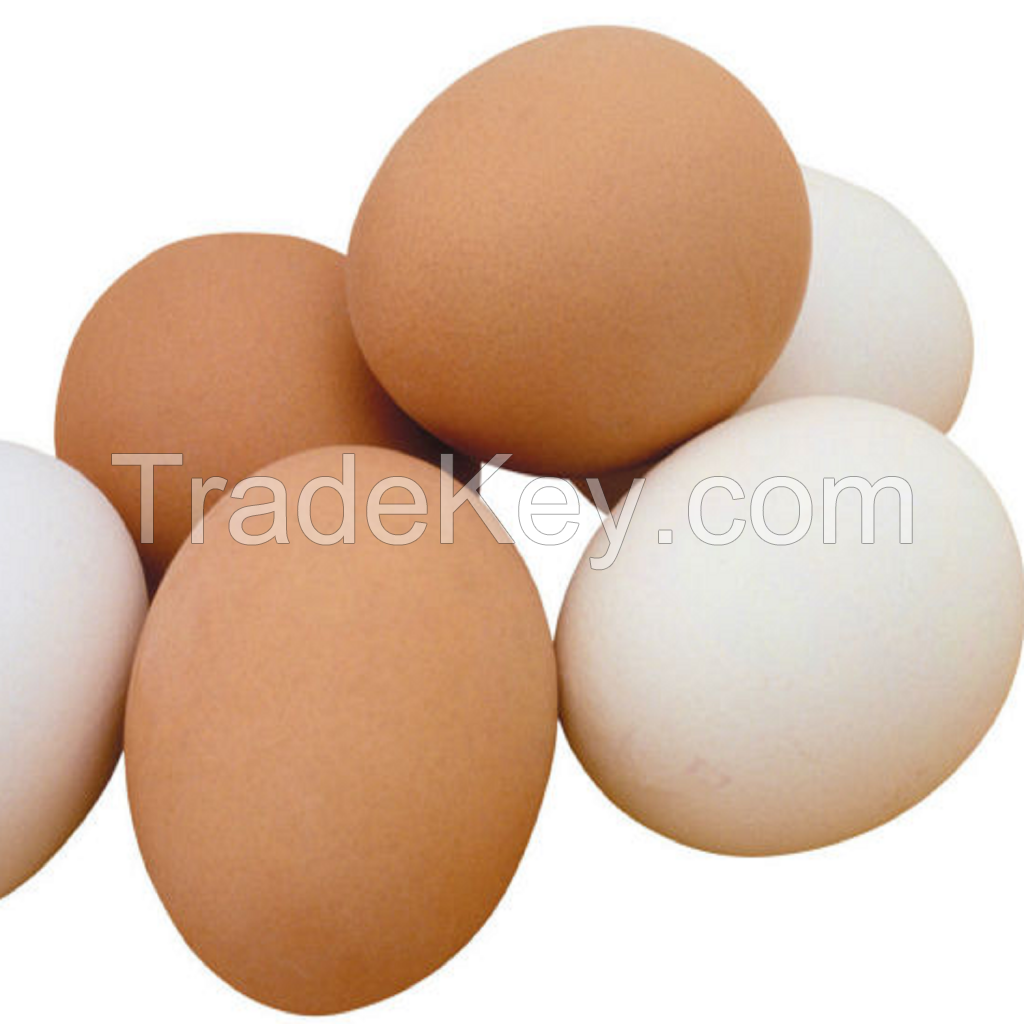 Farm Fresh Chicken Table Eggs / White Chicken Eggs