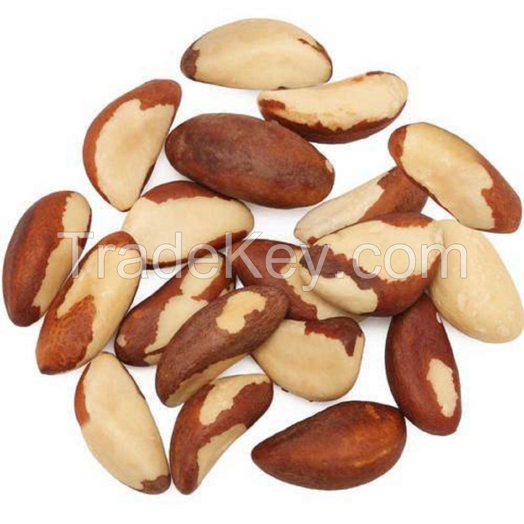 1KG Dried raw loose natural brazilian nuts Bertholletia excelsa Brazil nut for food