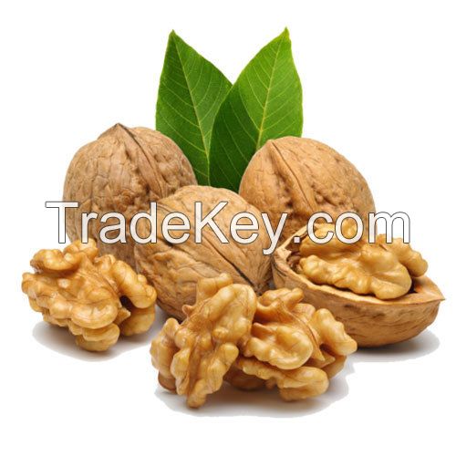 High quality whole hulled pieces Walnuts with Thin Shell or walnut kernels