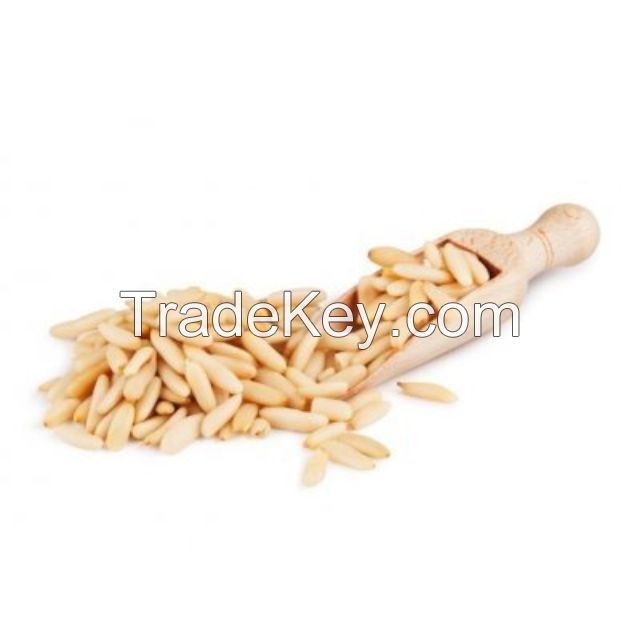 High Quality Pinenut Wholesale 100%Pure Natural Wild Northeast Pine Nuts Bulk Vacuum Packing Pine Kernels Prices