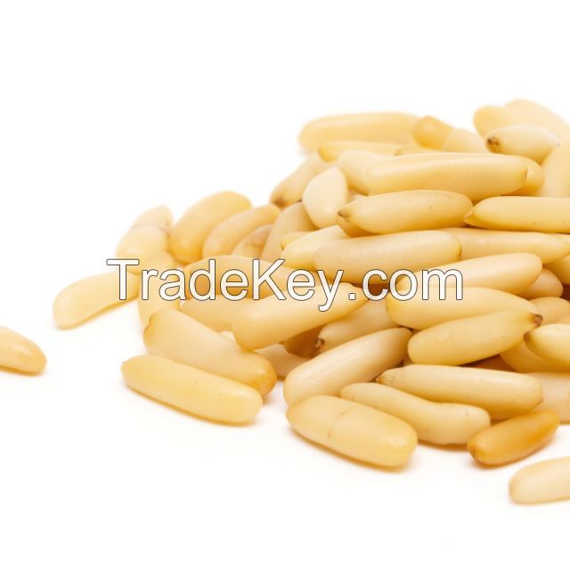 High Quality Pinenut Wholesale 100%Pure Natural Wild Northeast Pine Nuts Bulk Vacuum Packing Pine Kernels Prices