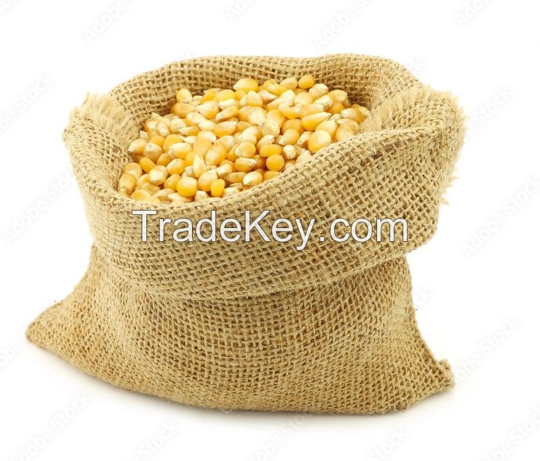 Corn